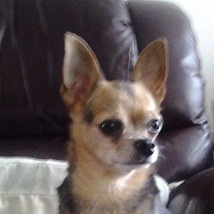 Meet your Posher, Kris